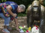 200 000 подписаха петиция след убийството на горилата Харамбе