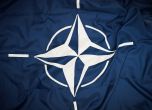 Меркел: Конфликтът Русия - Украйна смущава дълбоко Източна Европа, НАТО трябва да я пази