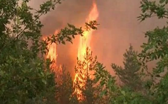 Няма опасност за хората от пожара в Маджарово