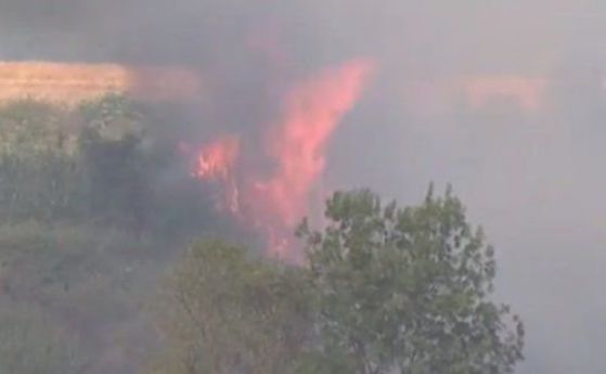 180 пожара гасени в страната за денонощие