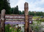 Еколози: Плановете за Пирин и Витоша влизат за одобрение през август