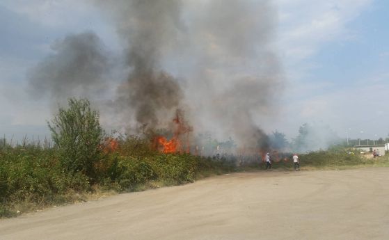 От вас: Служители на ресторант и бензиностанция гасиха пожар в Пазарджишко