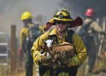 САЩ: Горещините убиха 4-ма, 175 къщи изгоряха, евакуираха 4000 заради пожар
