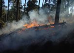 Голям пожар евакуира две села край Харманли