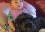 Куче загина в пожар, за да спаси 8-месечно бебе
