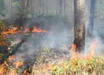 Пожар изпепели десетки декари гори край Враца
