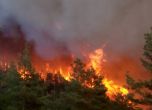 Пожар затвори АМ "Тракия", обходът е през Нови хан