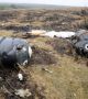 Ракетата, свалила самолета над Украйна, внесена от Русия, твърдят разследващите