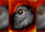 Ураганът Матю страшен дори от сателит