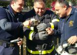 Пожарникари спасиха коте в Габрово