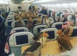 Принцът на Саудитска Арабия купи самолетни билети за 80 ястреби