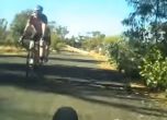 Кенгуру изненада колоездач в Австралия (видео)