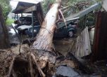 Калифорнийска буря уби двама души