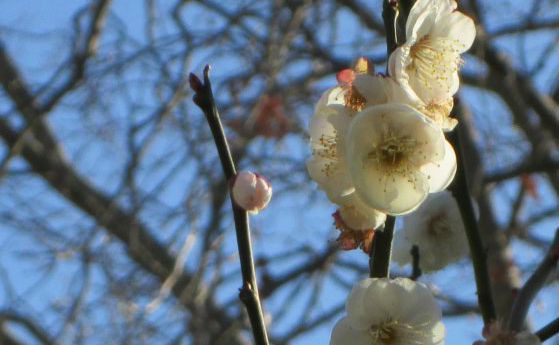 10 почивдни дни ни чакат около Великден, 1 май и Гергьовден