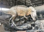 Между изкуството и науката: Джао Чуан, който съживява динозаврите (галерия)