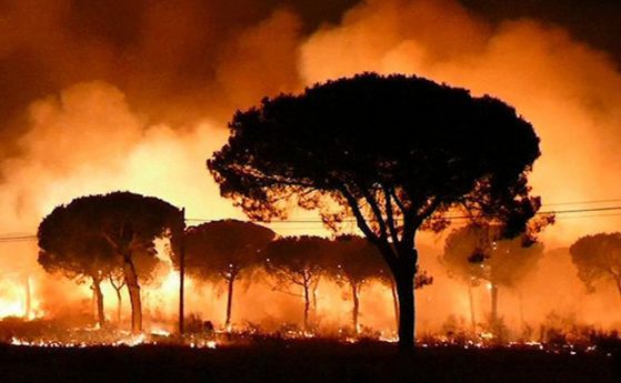 Най малко 1500 души са евакуирани заради пожар в Южна Испания