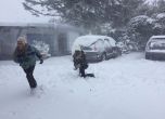 Снежна буря блокира Нова Зеландия (галерия)