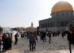 Нови сблъсъци на Храмовия хълм в Ерусалим, 50 души са ранени