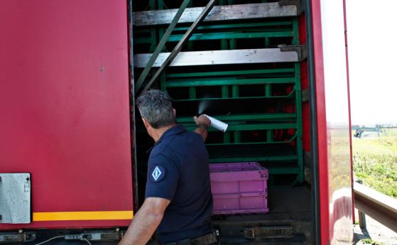 26 мигранти са били открити в хладилна камера в камион