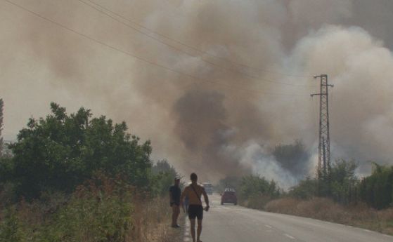 Пожарите в Пловдивско и Бургаско продължават да горят цяла нощ