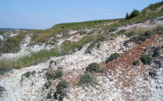 Природното местообитание Понто сарматски степи с код 62С0 представлява сухо тревно