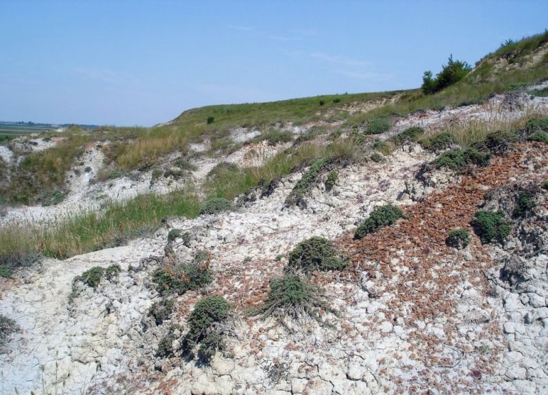 Природното местообитание Понто-сарматски степи“ с код 62С0 представлява сухо тревно