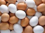 В 15 страни в ЕС откриха яйца, заразени с инсектицид