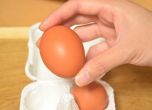 Няма опасни яйца и яйчни продукти на българския пазар