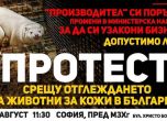 Природозащитници на протест срещу фермите за норки в България