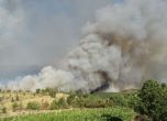 Битката с огъня в Кресненското дефиле продължава, 7000 дка в пламъци (снимки)
