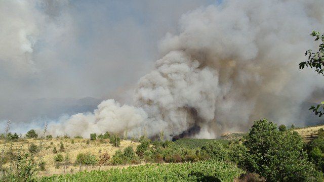 Битката с огромния пожар в Кресненското дефиле продължава, пламъците вече