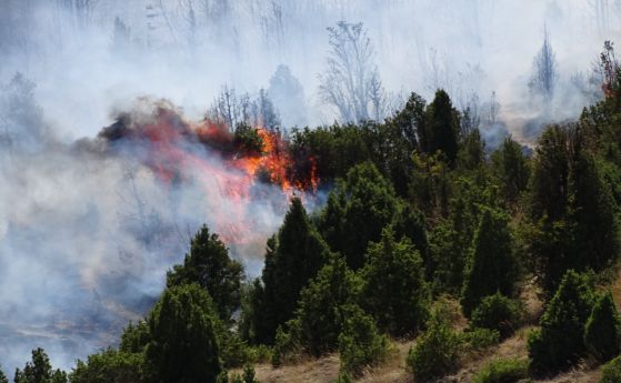 Огънят на пожара който бушува в Кресненското дефиле е унищожил