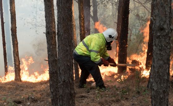 Продължават усилията на съвместните екипи от пожарникари военни и горски