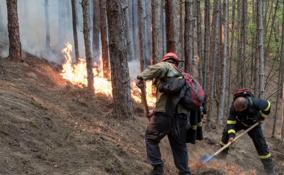 Екологична катастрофа остави след себе си пожарът вилнял четири дни