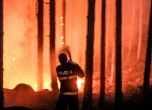 Пожарът край Кресна: Борбата продължава (видео и снимки)