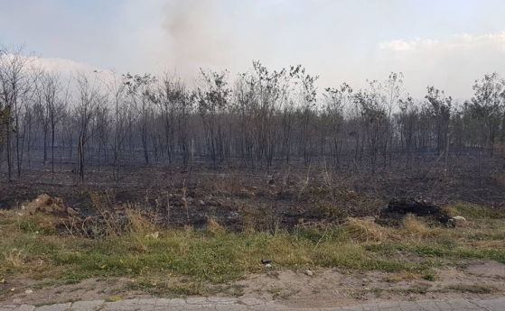 Пожарът край Сопот е овладян но още тлее Доброволци от