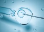 Жена иска да зачене с ембрион от починалия си съпруг - законът не й позволява