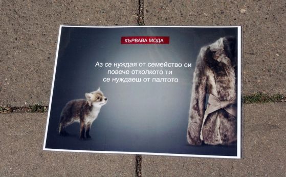 За пореден път екозащитници излязоха на протест в София срещу