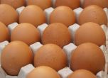 Още партиди яйчен прах с фипронил могат да влязат в България