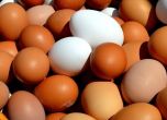 Откриха 215 000 яйца с фипронил в Пловдив