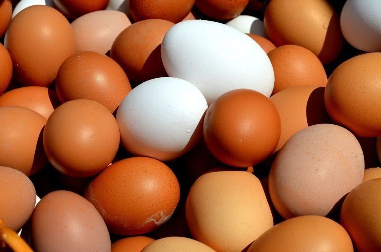 215 000 яйца с инсектицида фипронил са открити в склад