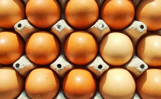 Количеството фипронил открито в български яйчен прах разпространен в Гърция