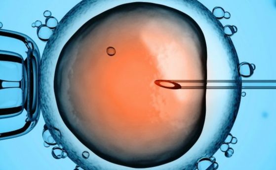 Китайски учени извършиха химическа операция върху човешки ембрион и успяха