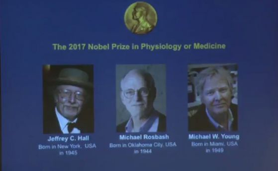 Джефри Хол Майкъл Росбаш и Майкъл Йънг спечелиха тазгодишната Нобелова