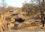 Убиха шестима в Малави по подозрения, че са вампири