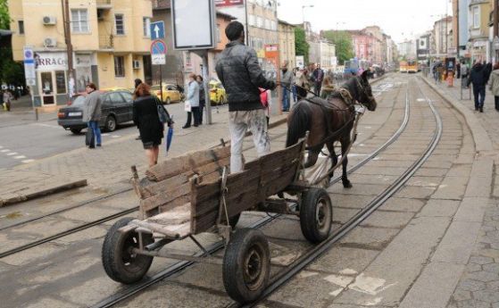 Пиян каруцар предизвика катастрофа в София, конят загина