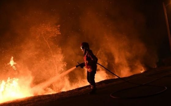 Горските пожари в Португалия взеха 36 жертви В страната е