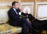 Кучето на Макрон се изпишка в зала на Елисейския дворец посред среща на държавници (видео)