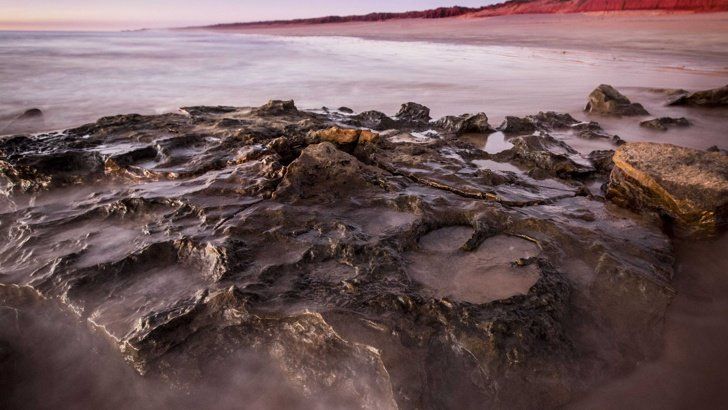 Международен екип палеонтолози откри фосилни отпечатъци на стъпало с три