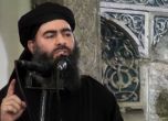 Главорезът Ал Багдади хванал такси и заминал за Сирия
